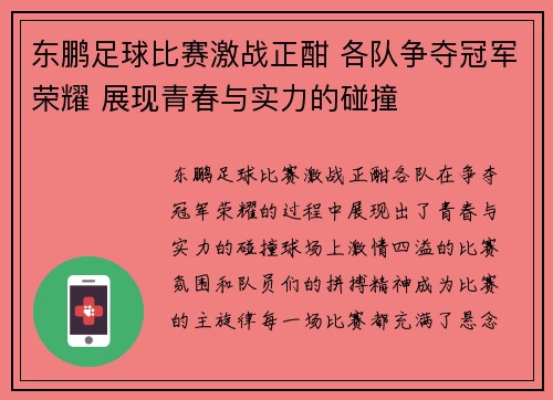 东鹏足球比赛激战正酣 各队争夺冠军荣耀 展现青春与实力的碰撞