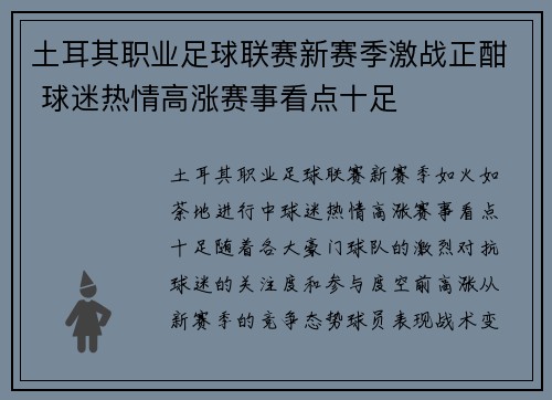 土耳其职业足球联赛新赛季激战正酣 球迷热情高涨赛事看点十足