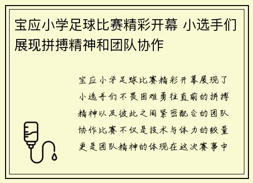 宝应小学足球比赛精彩开幕 小选手们展现拼搏精神和团队协作