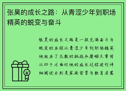 张昊的成长之路：从青涩少年到职场精英的蜕变与奋斗