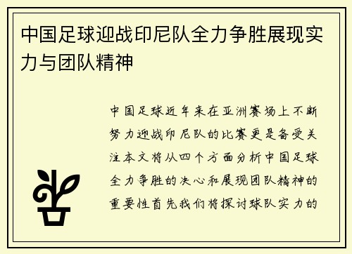 中国足球迎战印尼队全力争胜展现实力与团队精神