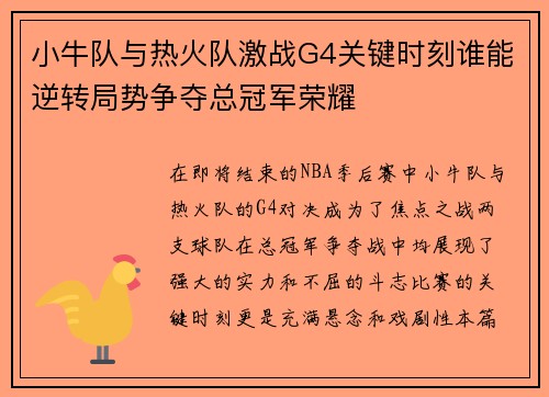 小牛队与热火队激战G4关键时刻谁能逆转局势争夺总冠军荣耀