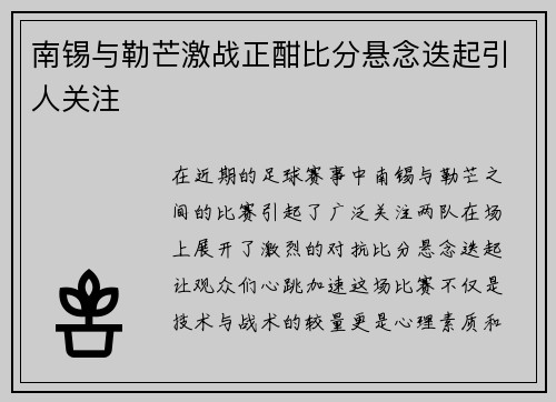 南锡与勒芒激战正酣比分悬念迭起引人关注