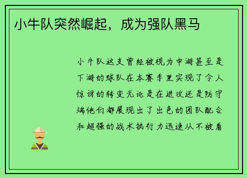 小牛队突然崛起，成为强队黑马