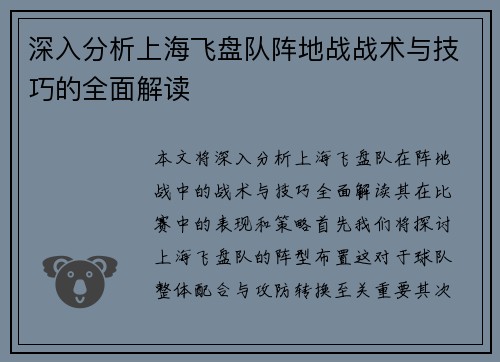 深入分析上海飞盘队阵地战战术与技巧的全面解读