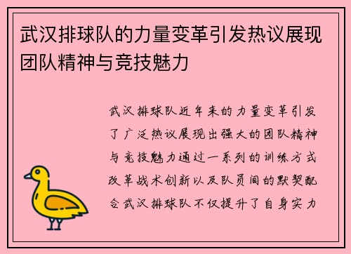 武汉排球队的力量变革引发热议展现团队精神与竞技魅力